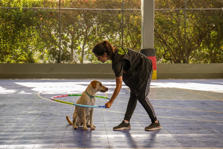 Off-Road Training Tips for Dogs: Preparing Your Pup for the Trails